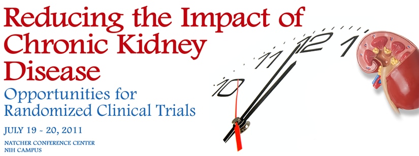 Banner for the 2011 Reducing the Impact of Chronic Kidney Disease Meeting.
