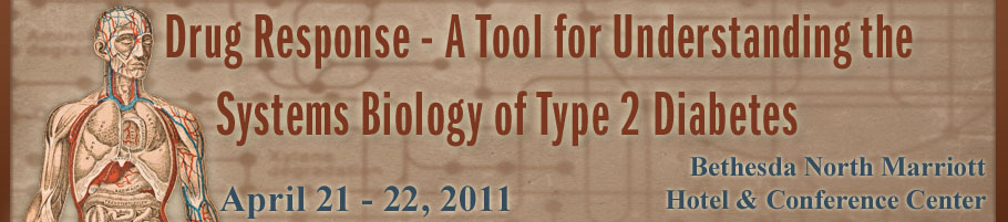 Banner for the 2011 Drug Response - A Tool for Understanding the Systems Biology of Type 2 Diabetes Meeting.