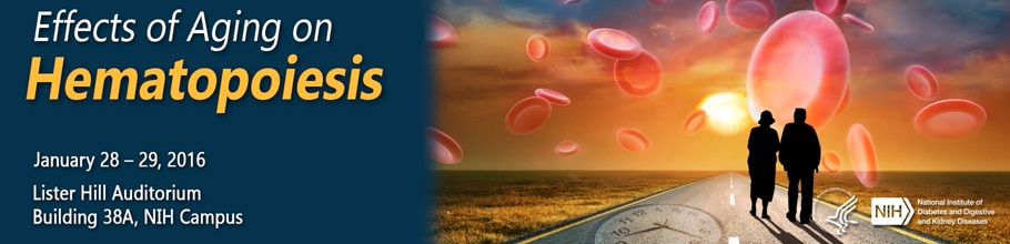 Banner for the 2016 Effects of Aging on Hematopoiesis Meeting.