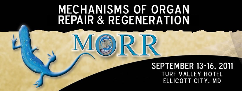 Banner for the 2011 Workshop on Mechanisms of Organ Repair and Regeneration