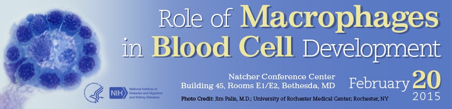 Banner for the 2015 Workshop on the Role of Macrophages in Blood Cell Development