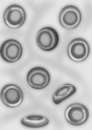 Healthy red blood cells