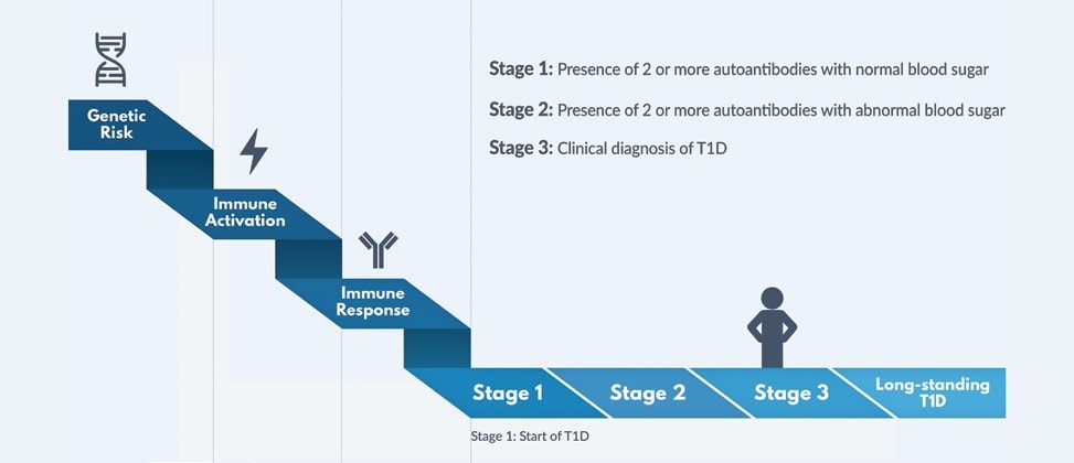 Graphic illustrating how type 1 diabetes progresses