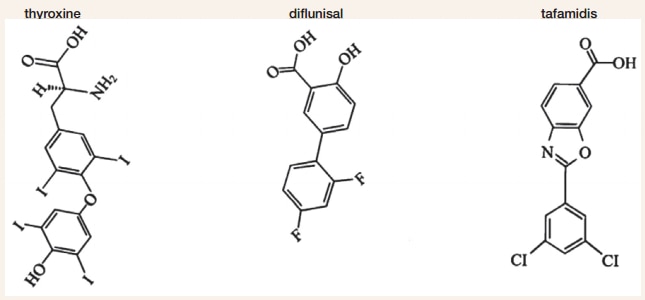 Thyroxine and Candidate Small Molecule Stabilizers