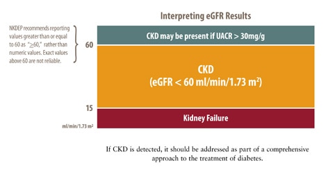 Gfr Levels Chart