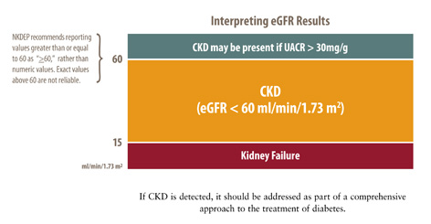 Interpreting eGFR results chart