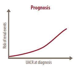 Line chart depicting risk for renal events at prognosis
