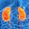 Kidney Disease