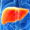 Liver Disease