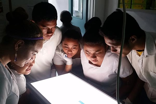 Photo of diverse students examining a research project