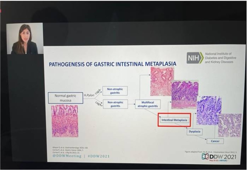 Dr. Monica Passi presents her oral presentation (virtually) with a chart