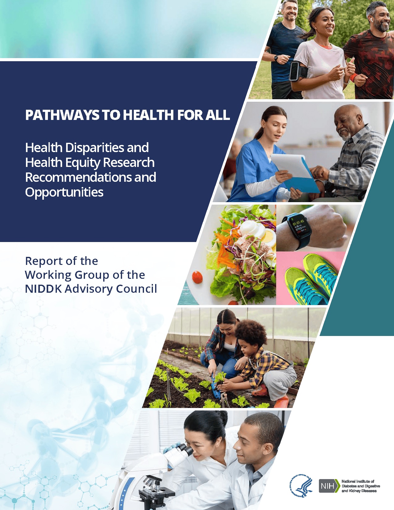 Pathways to Health for All, Disparities and Equity Research Recommendations and Opportunities, Report of Working Group of NIDDK Advisory Council report cover.