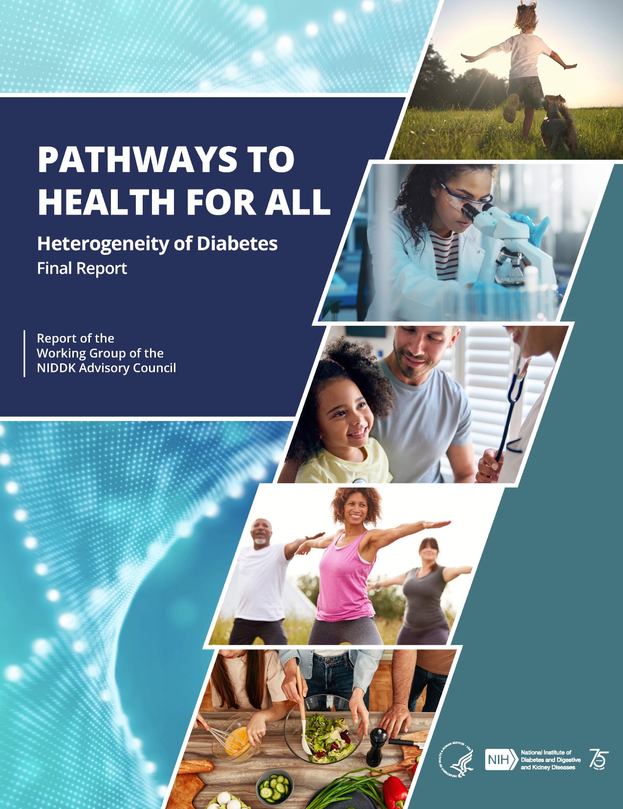 Pathways to Health for All: Heterogeneity of Diabetes Final Report cover