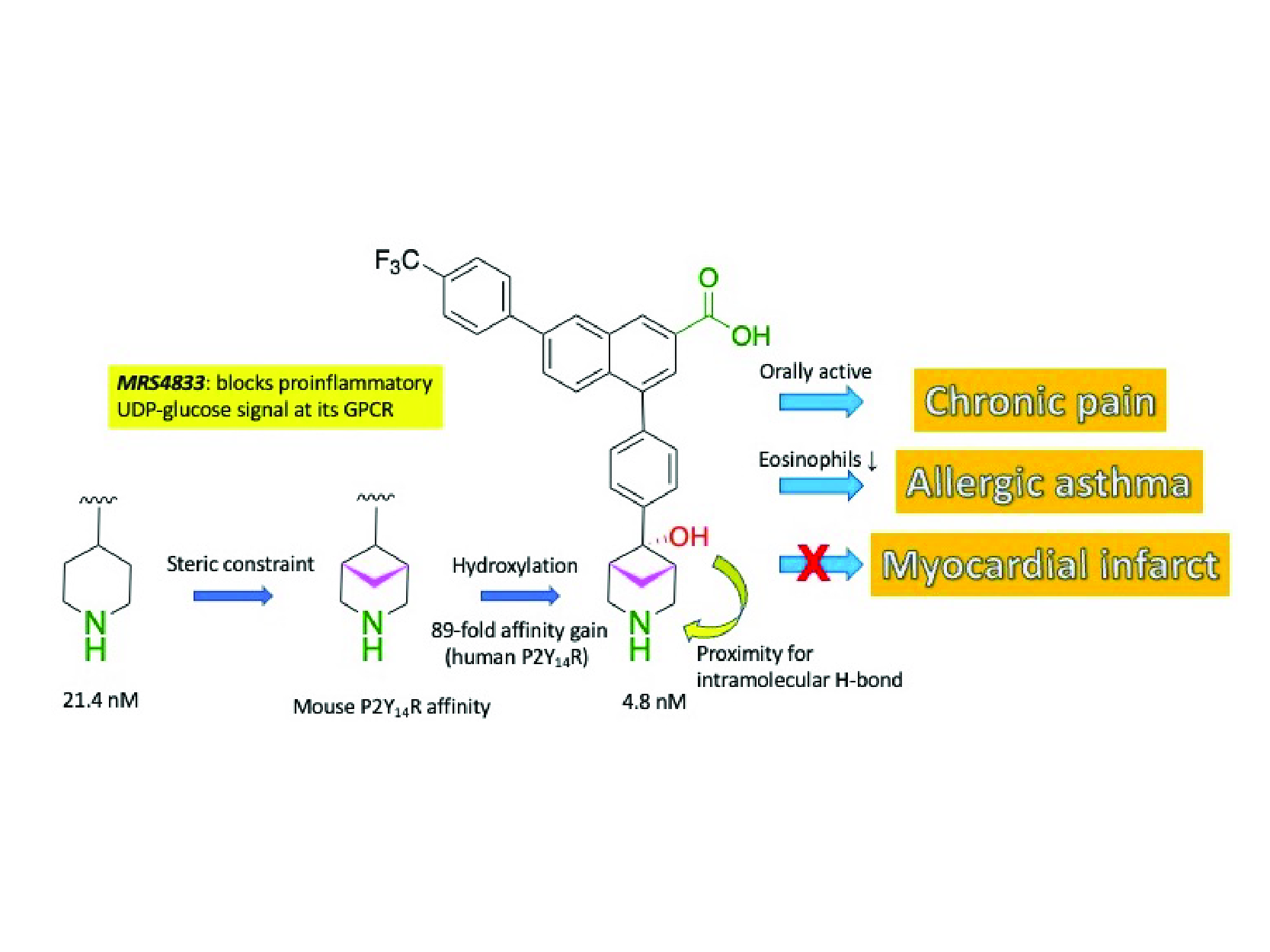 Diagram of Heterocyclic P2Y14 Antagonists for the Treatment of Various Conditions