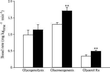 A diagram of Increased gluconeogesis in youth with newly diagnosed type 2 diabetes