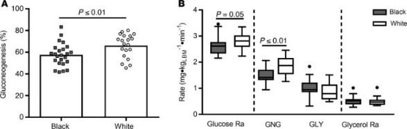 A diagram of Gluconeogenesis and risk for fasting hyperglycemia in Black and White women