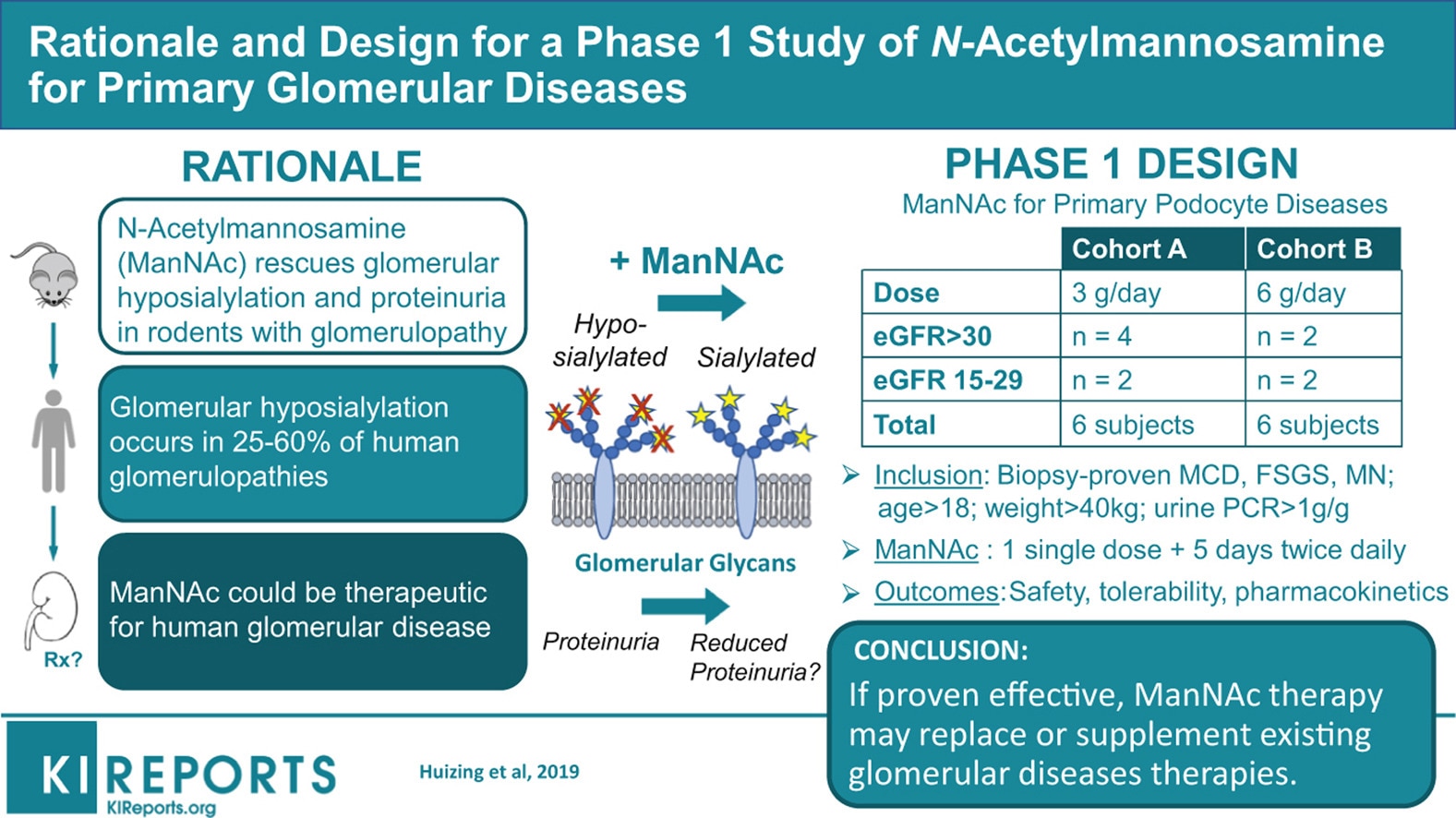 Rationale and design for a phase 1 study of N-acetylmannosamine for primary glomerular diseases.