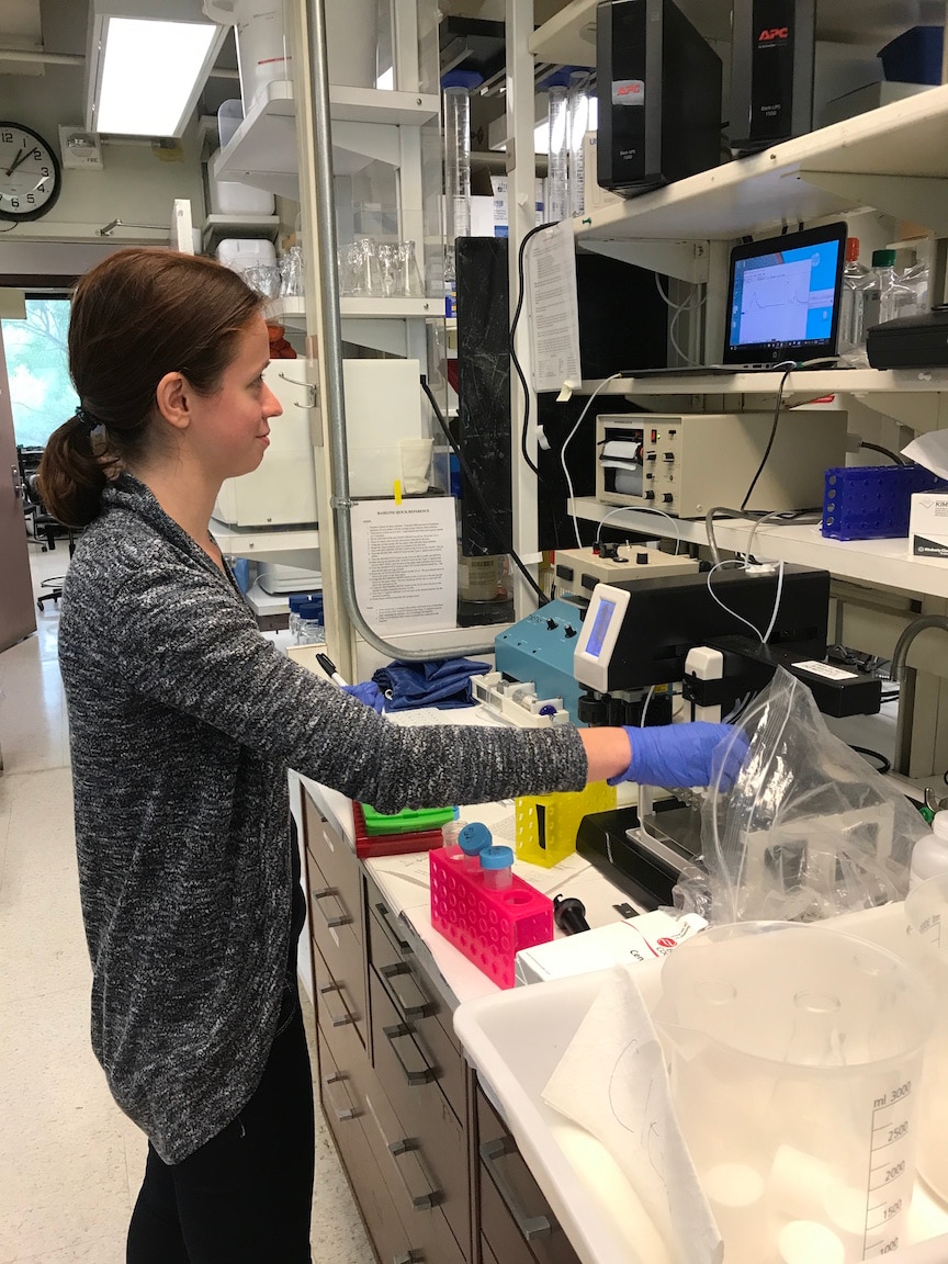 Lab member running sucrose gradients.