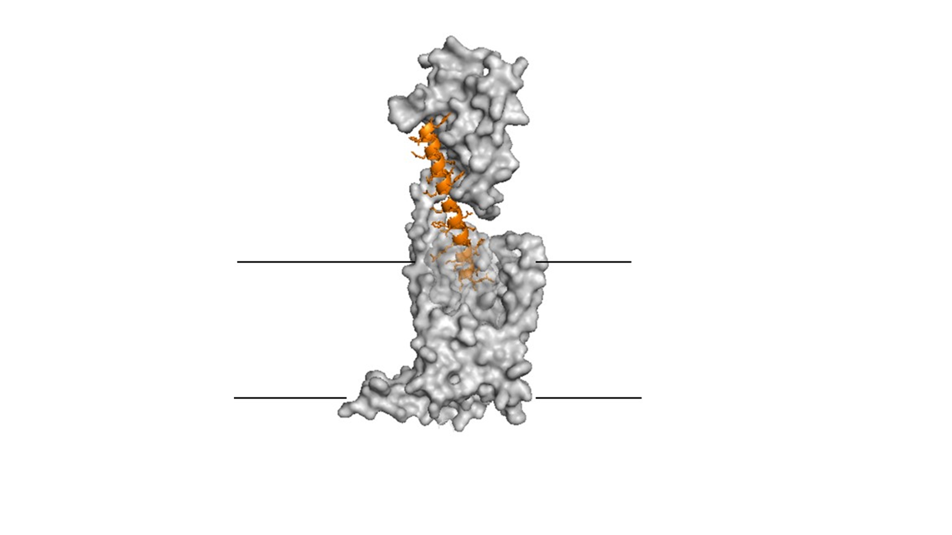 Diagram of Structure of G protein-coupled receptor