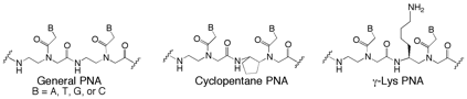 PNA-General and PNA-Cyclopentane and g-Lys.