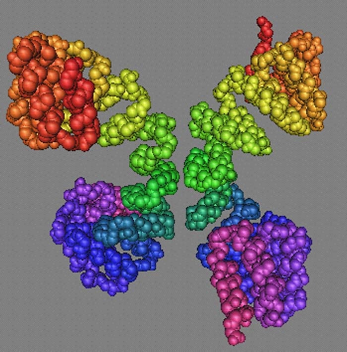 Structure of the TPR domain of OGT has similarities to Importin alpha