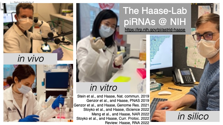 Haase Lab 2022