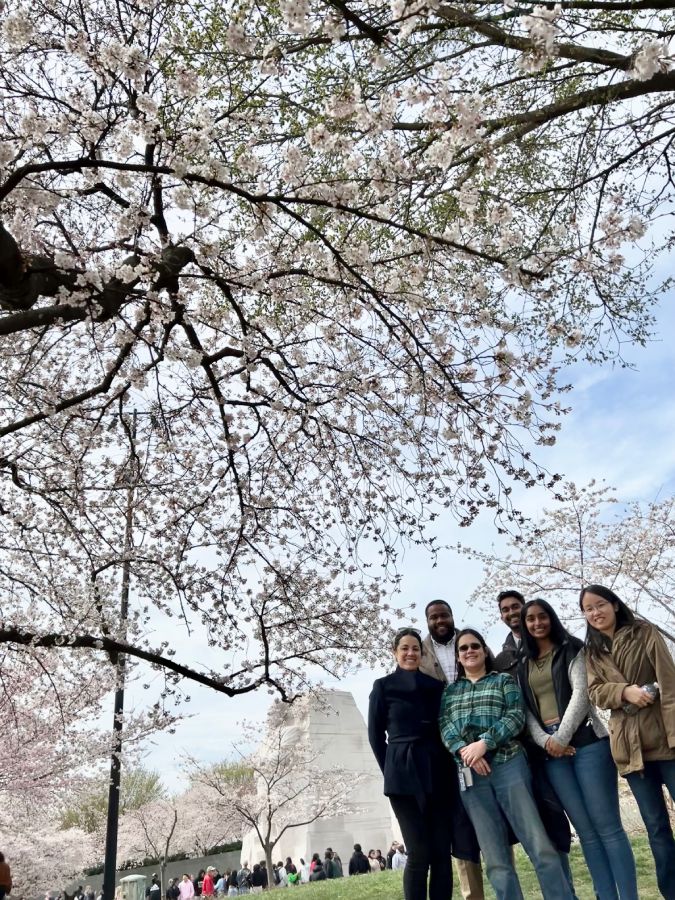 NIDDK lab members standing outdoors in front of a cherry blossom tree