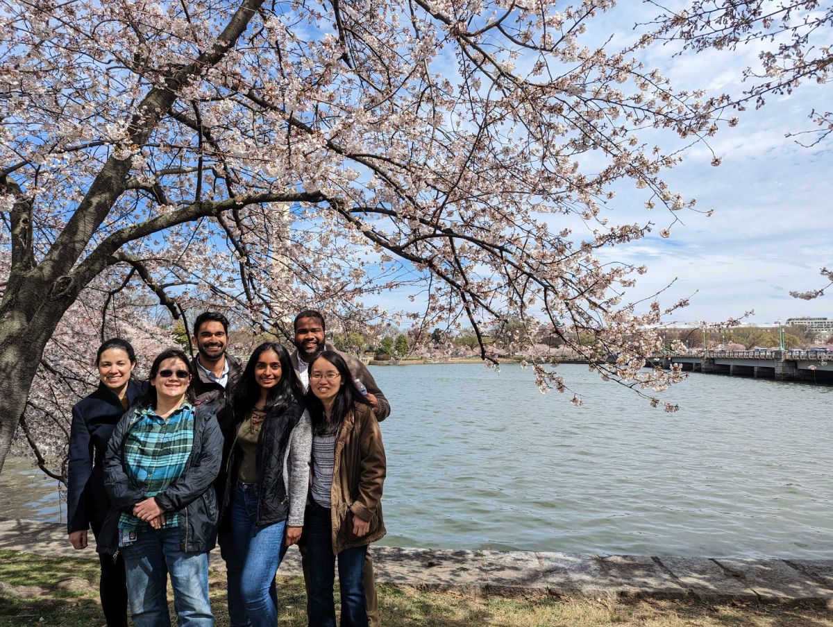 NIDDK Section on Regulatory RNAs lab members standing outdoors in front of a cherry blossom tree in Washington, DC