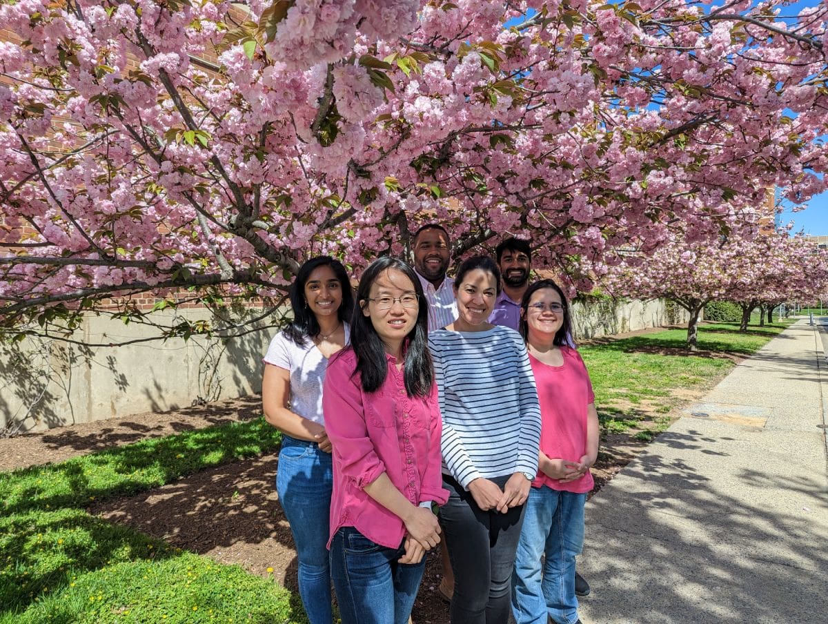 Lab members standing outdoors in front of a cherry blossom tree