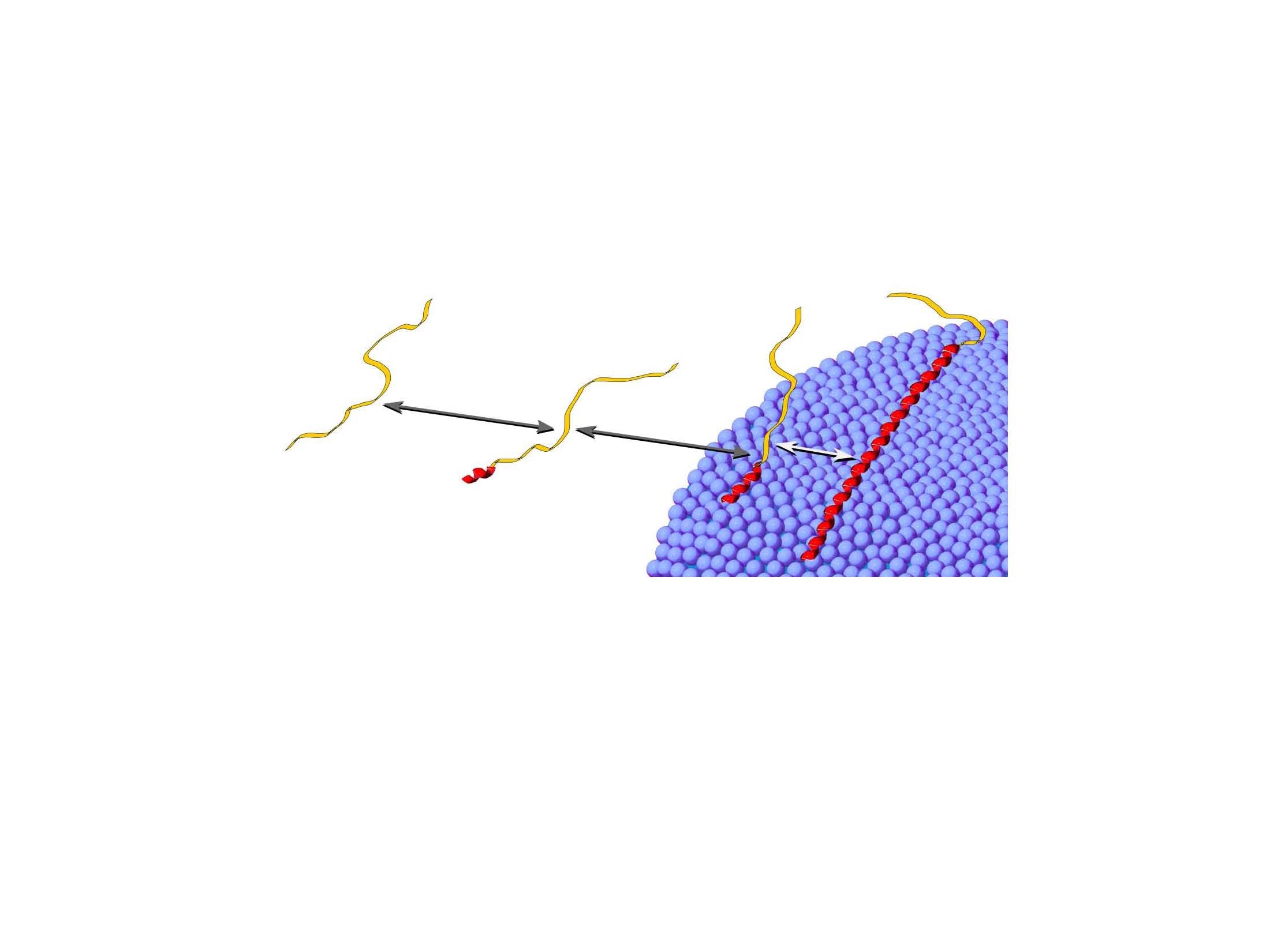 Photo of Alpha-synuclein.