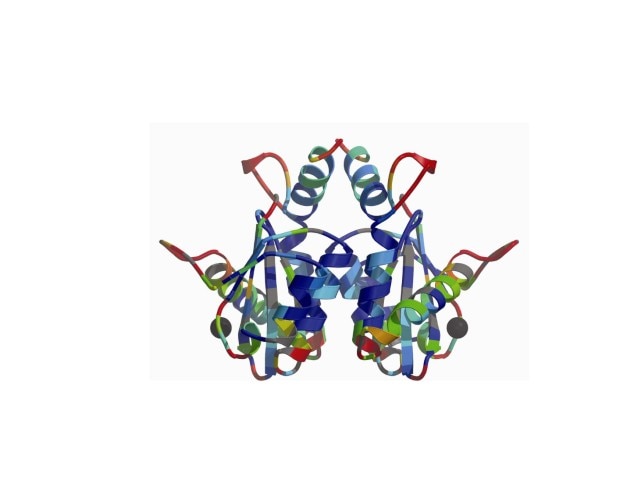 Photo of ribbon diagram depicting the homo-dimeric catalytic core domain of the HIV1 integrase enzyme.