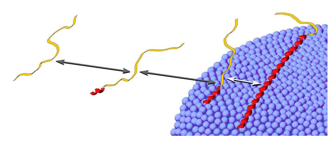 Alpha-synuclein.