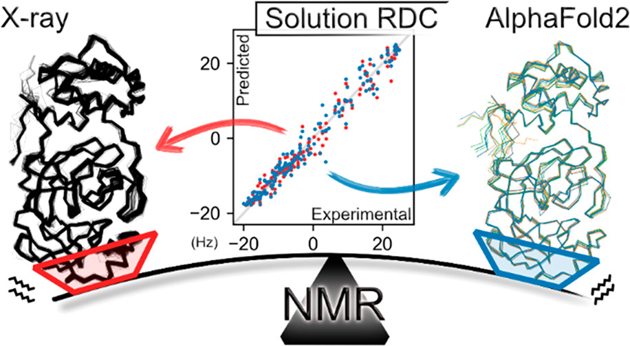 Diagram showing how AlphaFold2 and X-ray inform solution RDC.
