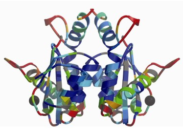 Ribbon diagram depicting the homo-dimeric catalytic core domain of the HIV1 integrase enzyme.