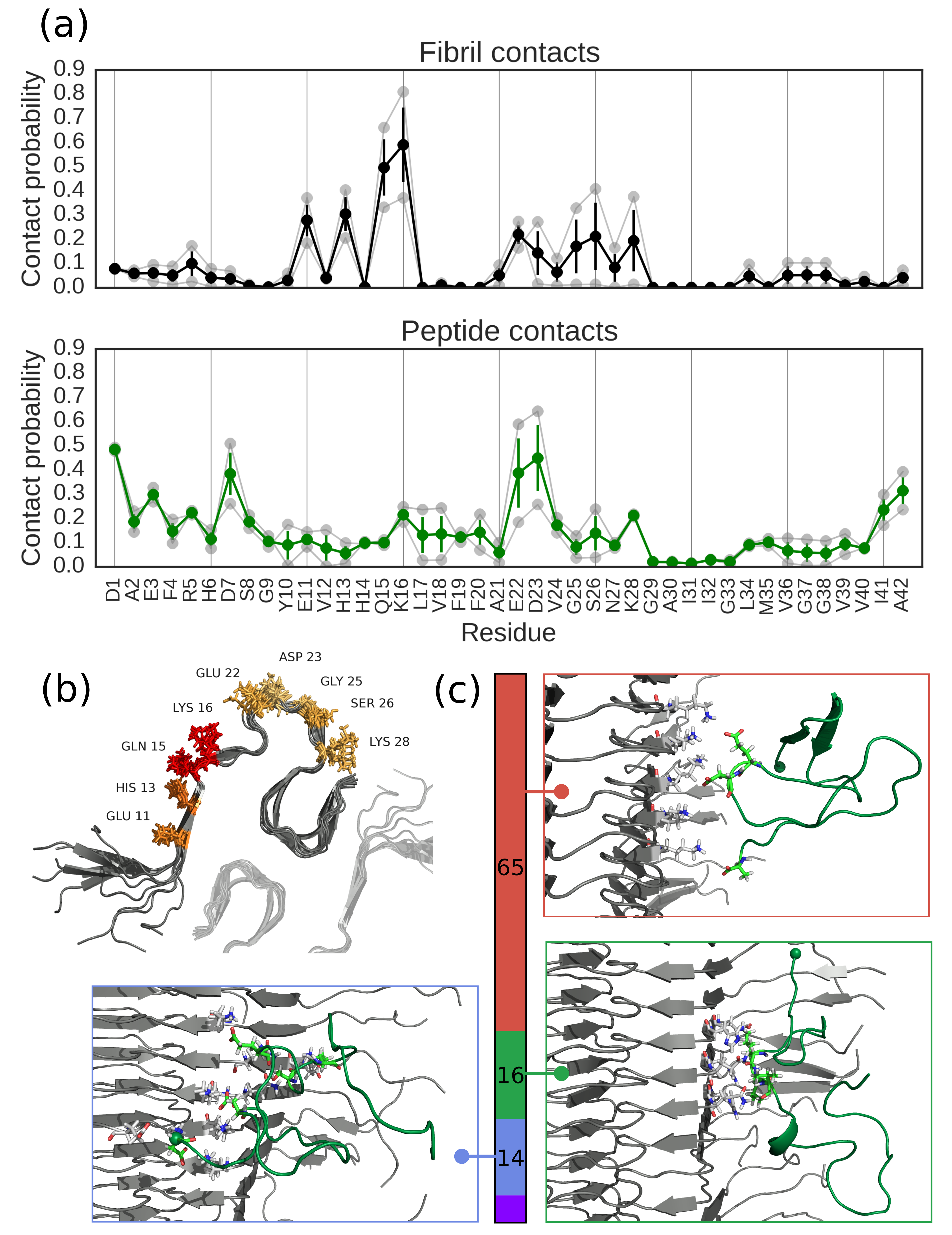 We used molecular simulations to study association of the Alzheimer's Abeta 42 monomer with fibrils.