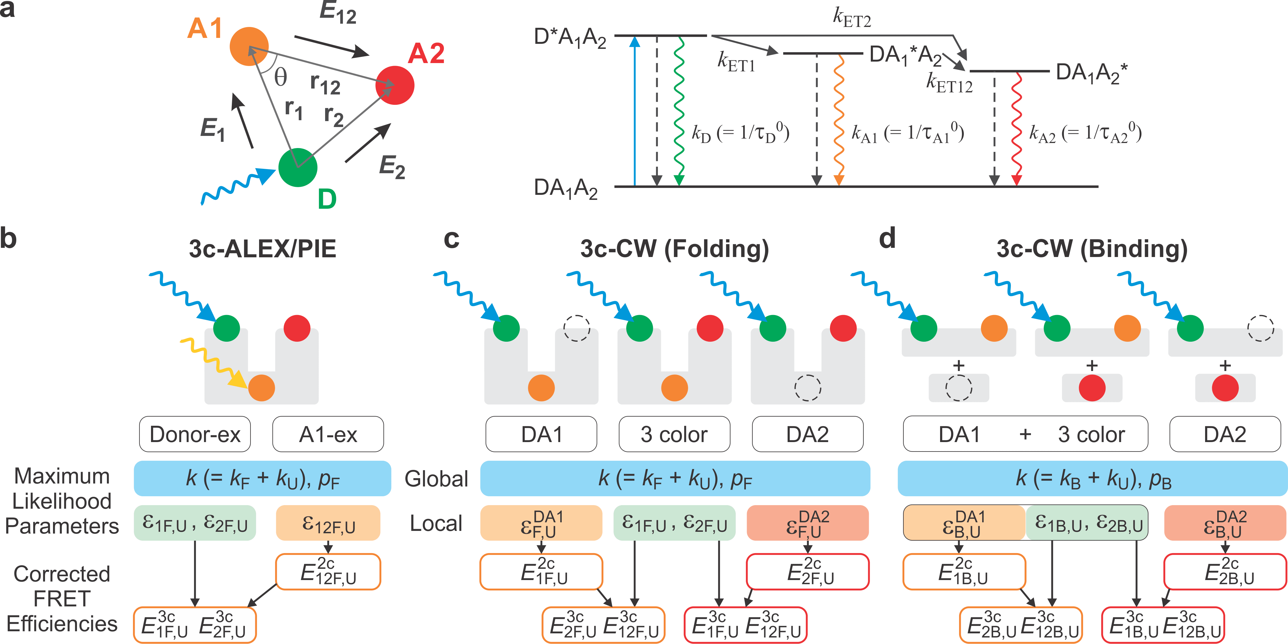 Fast three-color single-molecule FRET spectroscopy using maximum likelihood photon-by-photon analysis.