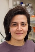 Motahareh G. Larimi, Ph.D.
