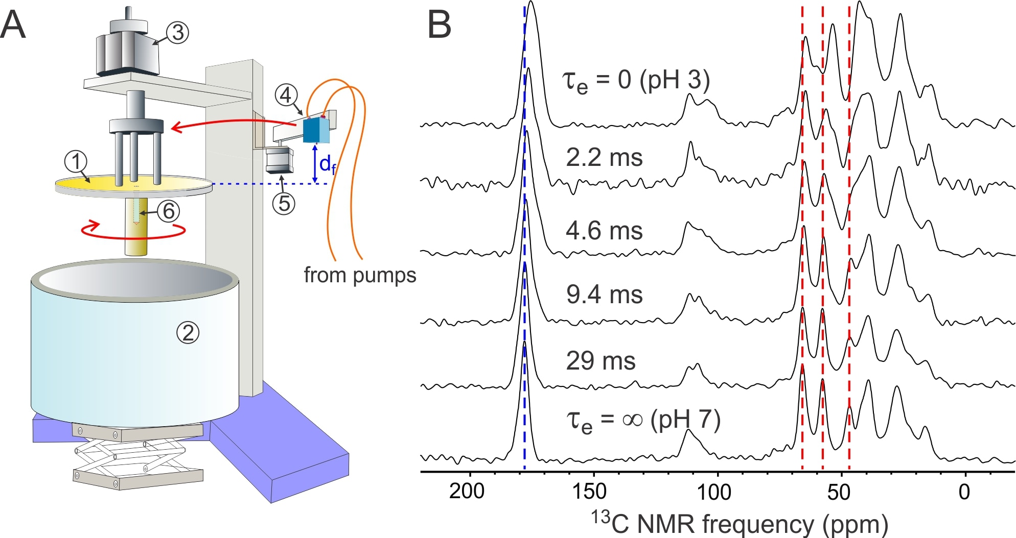 Characterization of the folding and self-assembly of melittin peptides by time-resolved solid state NMR