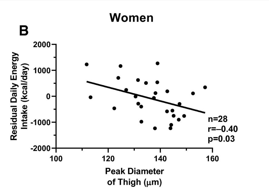 An inverse association was found between peak diameter of thigh adipocytes and energy intake in women.