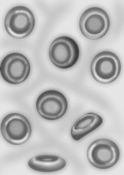 Illustration of healthy red blood cells. The cells are round and smooth.