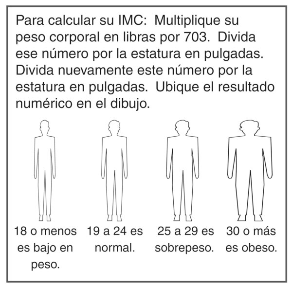 Ilustración de cuatro tipos de cuerpo para describir las clases de índice de masa corporal.
