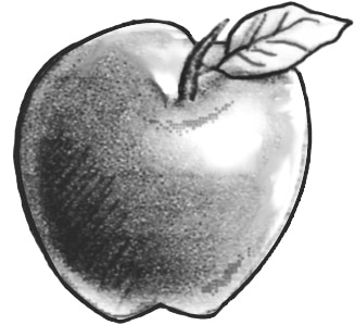 Drawing of an apple.