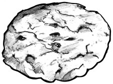 Drawing of a 3-inch cookie.