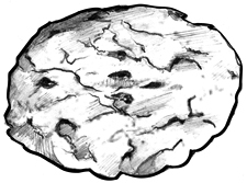 Drawing of a 3-inch cookie.