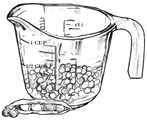 Drawing of a glass measuring cup filled partially with peas.