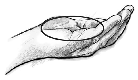 Drawing of an open hand that is cupped with a circle drawn around the palm to show what a serving size of 1 ounce looks like.