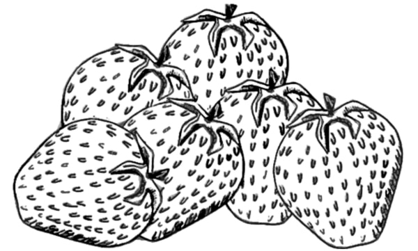 Drawing of strawberries.