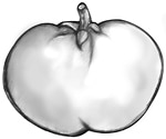 Drawing of a tomato.