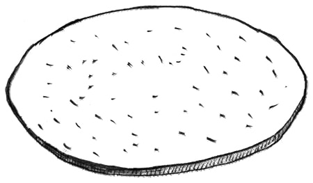 Drawing of a tortilla.