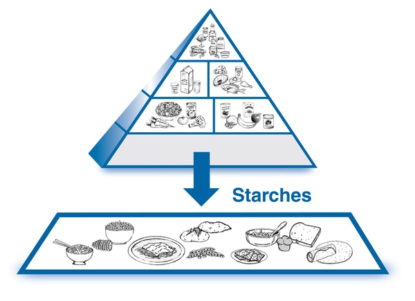 An enlarged drawing of the starches group below a drawing of the diabetes food pyramid. The enlarged drawing is labeled starches. The section includes drawings of rice, potatoes, bread, crackers, and tortillas.